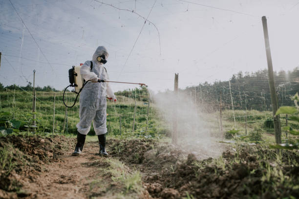 Best Commercial Pest Control Services  in Palmyra, IN