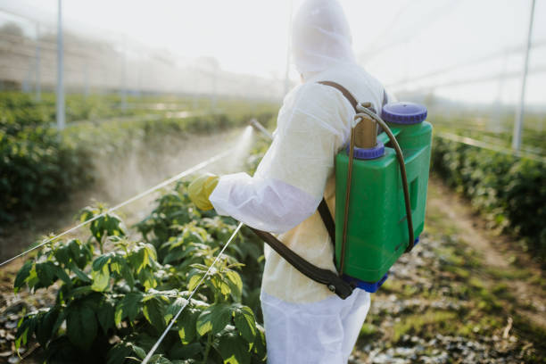 Reliable Palmyra, IN Pest Control Solutions